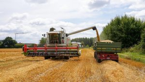Combine harvester unloading grain onto trailer in Geesthacht, Germany during summer.